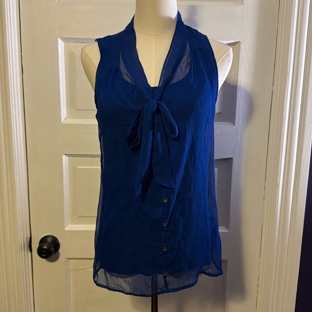 Bright Blue Blouse